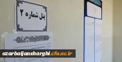 همایش استانی علمی-پژوهشی برنامه درسی چند پایه