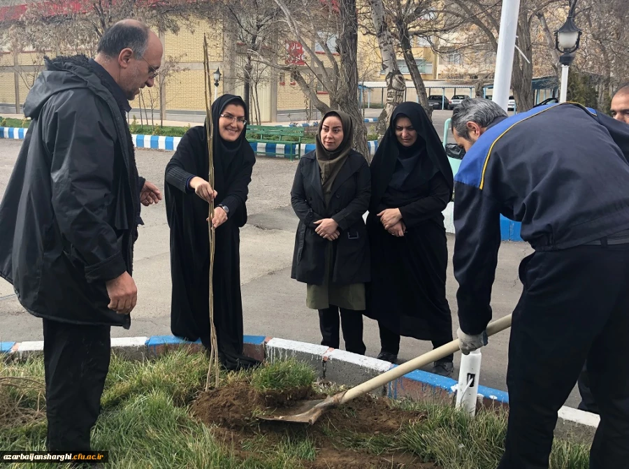 گرامی داشت روز درختکاری