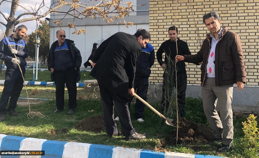 گرامی داشت روز درختکاری