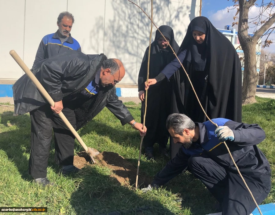 گرامی داشت روز درختکاری