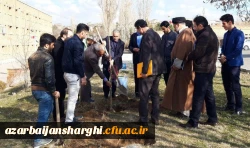 گرامی داشت روز درختکاری