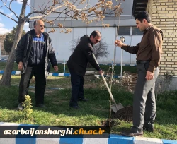 گرامی داشت روز درختکاری