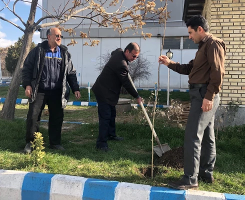 گرامی داشت روز درختکاری