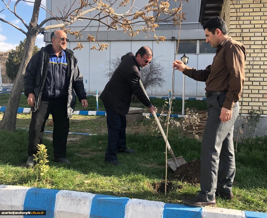 گرامی داشت روز درختکاری