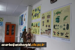 افتتاحیه نمایشگاه ها و مراسم بزرگداشت هفته پژوهش در محل پردیس  فاطمه الزهرا (س) برگزار شد. 2