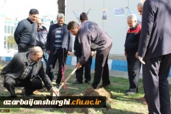 کاشت درخت در محوطه پردیس فاطمه الزهرا(س) تبریز 4