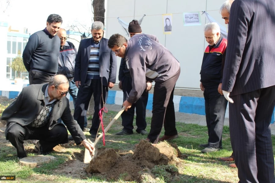 کاشت درخت در محوطه پردیس فاطمه الزهرا(س) تبریز 4