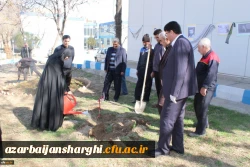 کاشت درخت در محوطه پردیس فاطمه الزهرا(س) تبریز 6