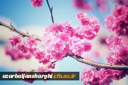 پیام تبریک دکتر اسداله خدیوی به اساتید کارکنان  و دانشجو معلمان عزیز دانشگاه فرهنگیان استان به مناسبت سال 1399 3