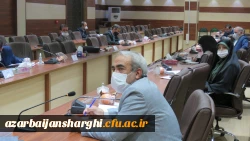 ویدوئو کنفرانس 10