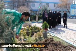 کاشت 19 نهال به یمن وجود شهید گمنام 19ساله پردیس فاطمه الزهرا(س) 3