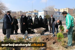 کاشت 19 نهال به یمن وجود شهید گمنام 19ساله پردیس فاطمه الزهرا(س) 4