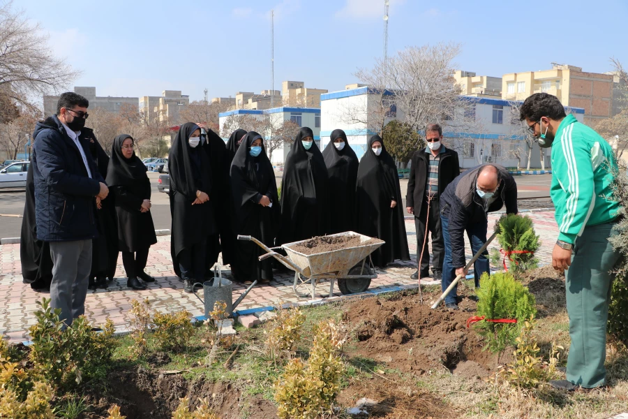 کاشت 19 نهال به یمن وجود شهید گمنام 19ساله پردیس فاطمه الزهرا(س) 4