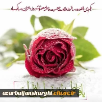 ولادت باسعادت حضرت فاطمه معصومه سلام الله علیها و روز دختر مبارک باد. 2