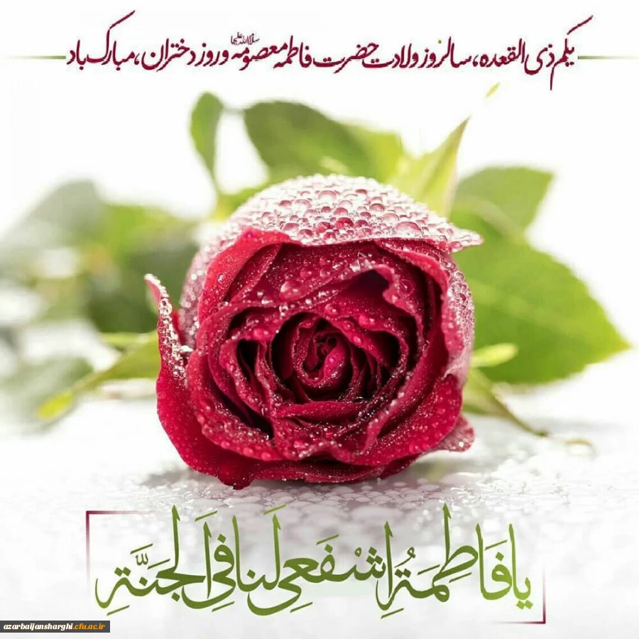 ولادت باسعادت حضرت فاطمه معصومه سلام الله علیها و روز دختر مبارک باد. 2