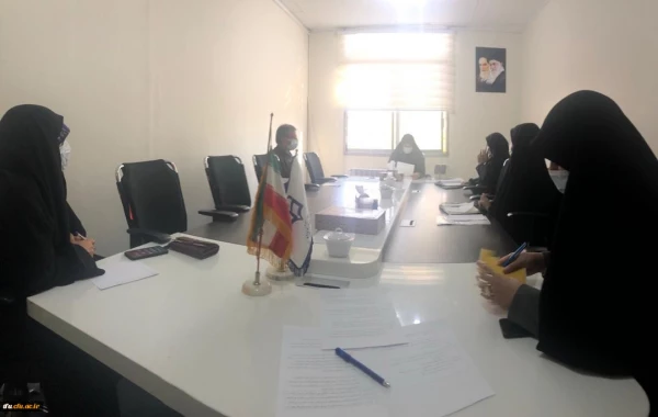 چالش بانوان4