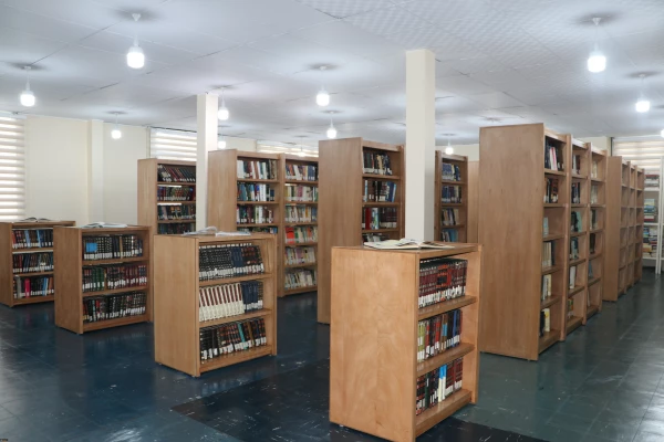 631406_1735706176_6000_4000