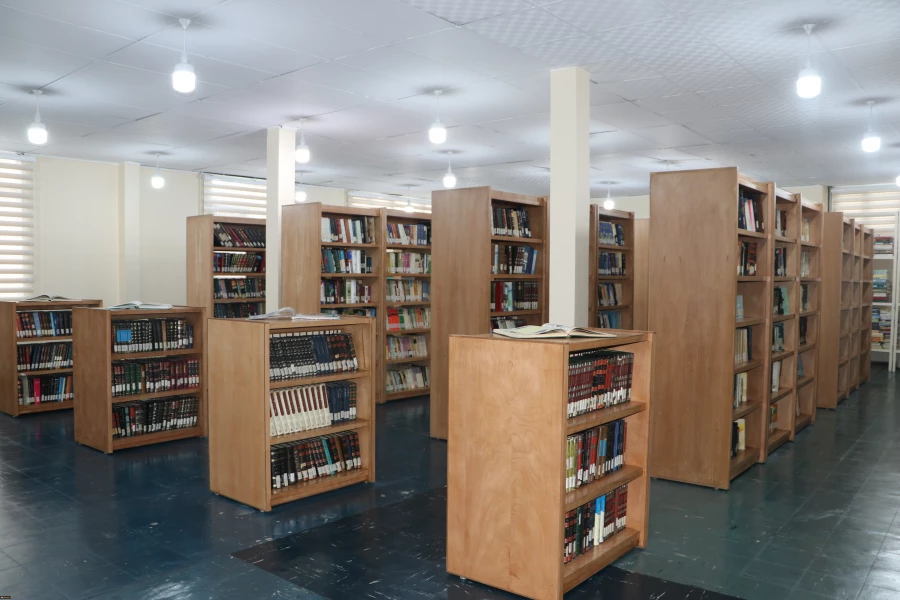 631406_1735706176_6000_4000