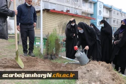 غرس نهال  ایثار  در دانشگاه فرهنگیان آذربایجانشرقی  5
