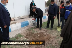 غرس نهال  ایثار  در دانشگاه فرهنگیان آذربایجانشرقی  6
