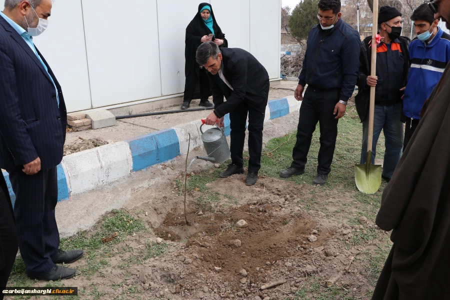 غرس نهال  ایثار  در دانشگاه فرهنگیان آذربایجانشرقی  6