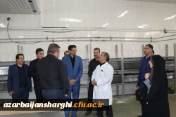 بازدید رئیس و هیت رئیسه دانشگاه فرهنگیان آذربایجان شرقی  از سلف سرویس دانشگاه تبریز 12