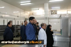 بازدید رئیس و هیت رئیسه دانشگاه فرهنگیان آذربایجان شرقی  از سلف سرویس دانشگاه تبریز 19