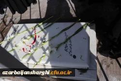 مراسم سومین سالگرد تدفین شهید گمنام پردیس فاطمه الزهرا (س)دانشگاه فرهنگیان استان آذربایجان شرقی برگزار شد. 2