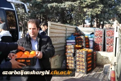 اعزام دانشجویان  دانشگاه فرهنگیان آذربایجان شرقی در قالب اردوی راهیان نور به مناطق عملیاتی جنوب  10