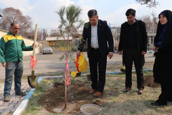 غرس نهال  با هدف پردیس سبز و گرامیداشت یاد و خاطره شهدای دانشجو معلم در دانشگاه فرهنگیان آذربایجان شرقی 19
