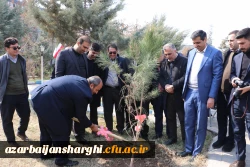 غرس نهال  با هدف پردیس سبز و گرامیداشت یاد و خاطره شهدای دانشجو معلم در دانشگاه فرهنگیان آذربایجان شرقی 25