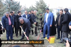 غرس نهال  با هدف پردیس سبز و گرامیداشت یاد و خاطره شهدای دانشجو معلم در دانشگاه فرهنگیان آذربایجان شرقی 27