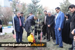 غرس نهال  با هدف پردیس سبز و گرامیداشت یاد و خاطره شهدای دانشجو معلم در دانشگاه فرهنگیان آذربایجان شرقی 28