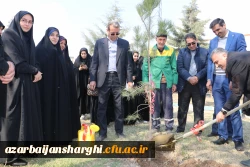 غرس نهال  با هدف پردیس سبز و گرامیداشت یاد و خاطره شهدای دانشجو معلم در دانشگاه فرهنگیان آذربایجان شرقی 31