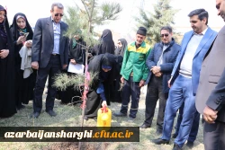 غرس نهال  با هدف پردیس سبز و گرامیداشت یاد و خاطره شهدای دانشجو معلم در دانشگاه فرهنگیان آذربایجان شرقی 35