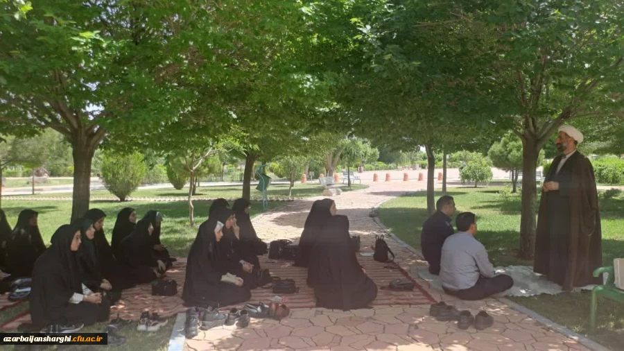 photo_2024-06-01_12-43-40 (2)