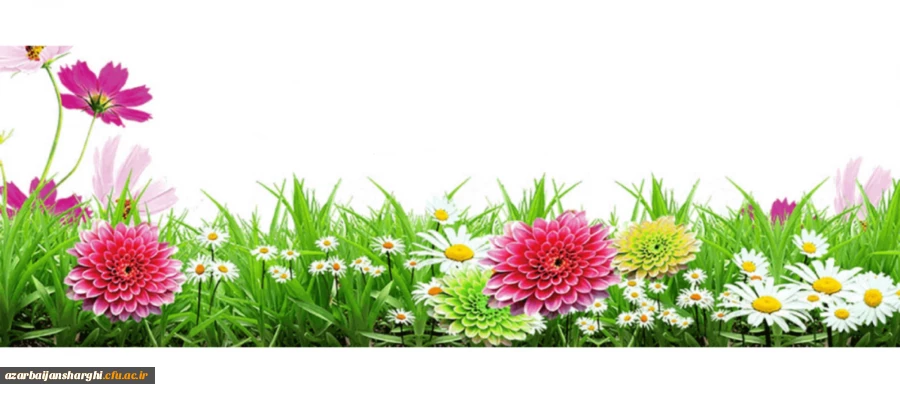 هفته دولت و روز کارمند گرامی باد 4