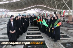 photo_2024-11-29_22-29-54