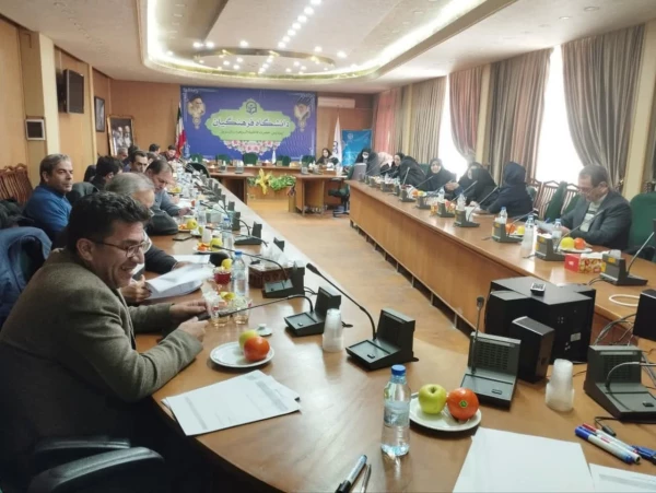 نشست توا نمند سلزی اساتید کارورزی در استان آذربایجان شرقی 3