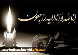 پیام تسلیت دکتر حسین احمدی در پی درگذشت رئیس دانشگاه فرهنگیان اصفهان  4