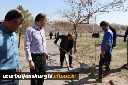 غرس نهال ایثار در پردیس علامه امینی تبریز  14