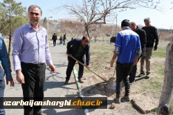 غرس نهال ایثار در پردیس علامه امینی تبریز  15