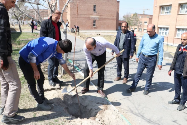 غرس نهال ایثار در پردیس علامه امینی تبریز  16