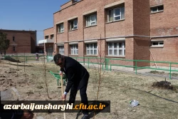 غرس نهال ایثار در پردیس علامه امینی تبریز  19